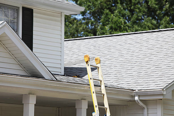 Best Insulated Siding Installation  in Lower Lake, CA